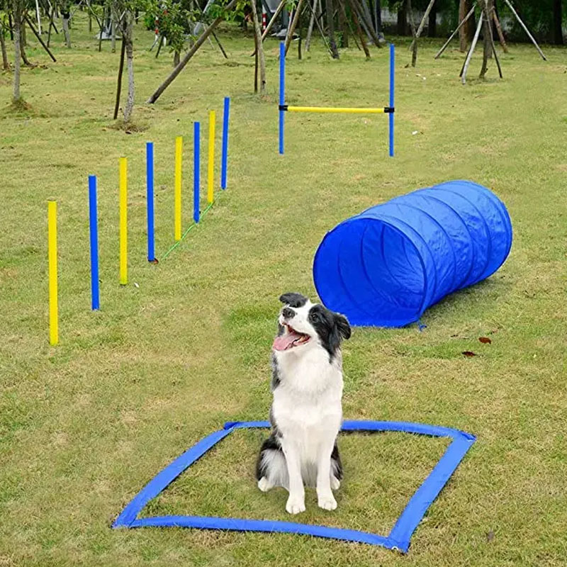 Tunel do treningu agility dla  – Sports Equipment Warehouse recenzja i cena
